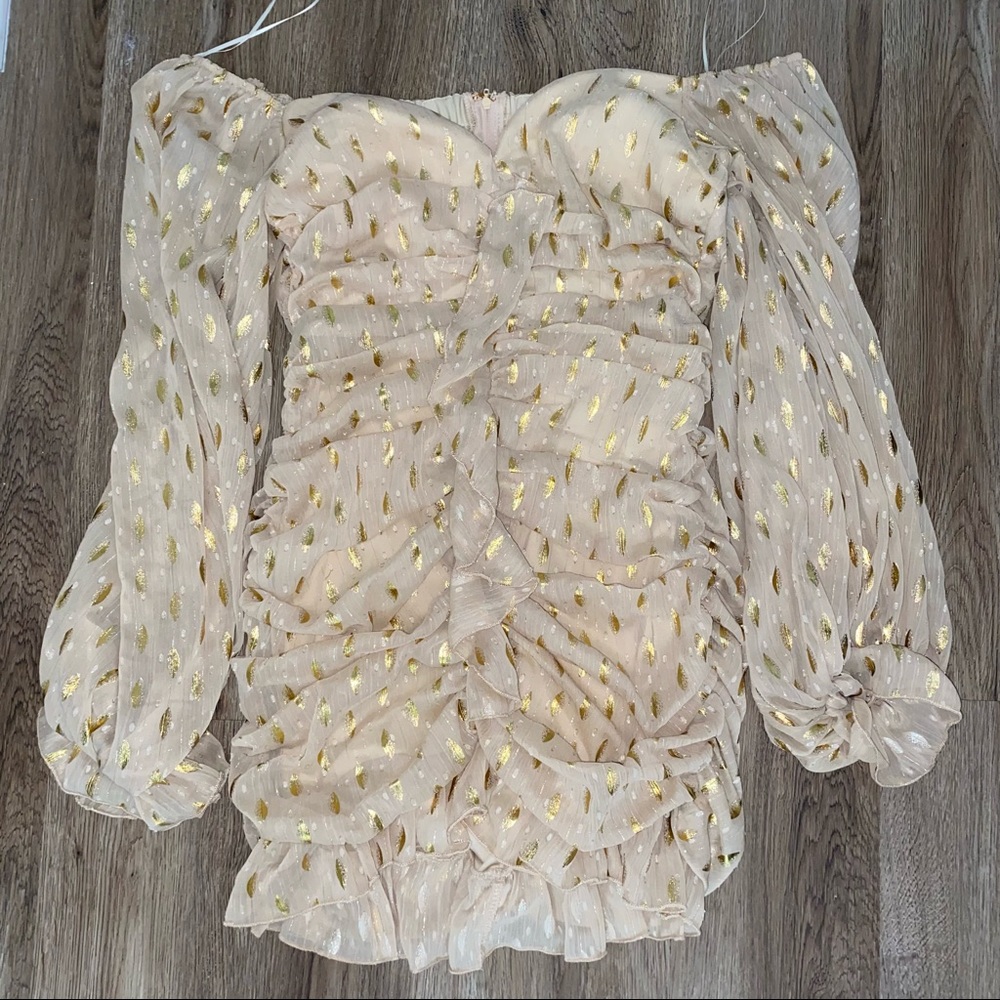 Fashion Nova mini Dress